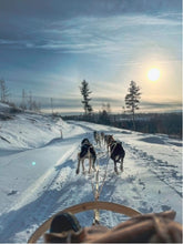 Charger l'image dans la galerie, Balade en traineau à chien au Saguenay (3h) / Dog sledding in Saguenay (3h)
